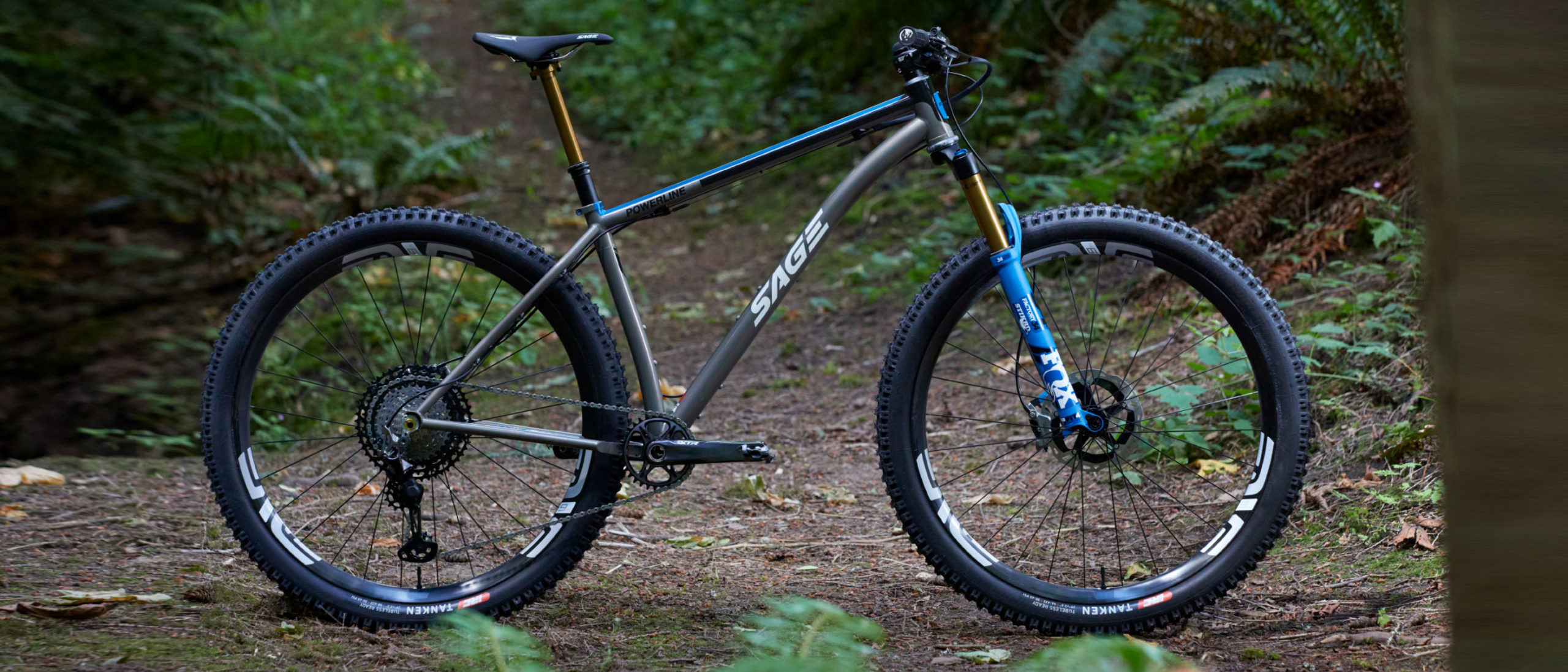 2020 top mountain bikes