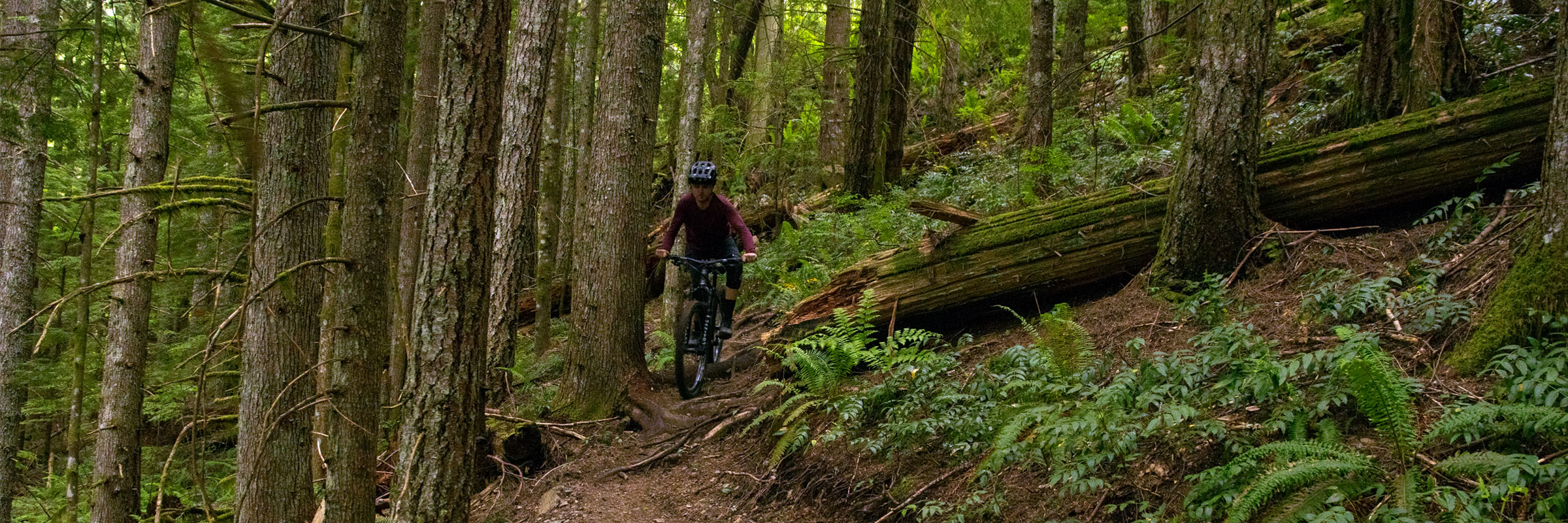 Blister Flow Motion Review Sage Titanium Bicycles